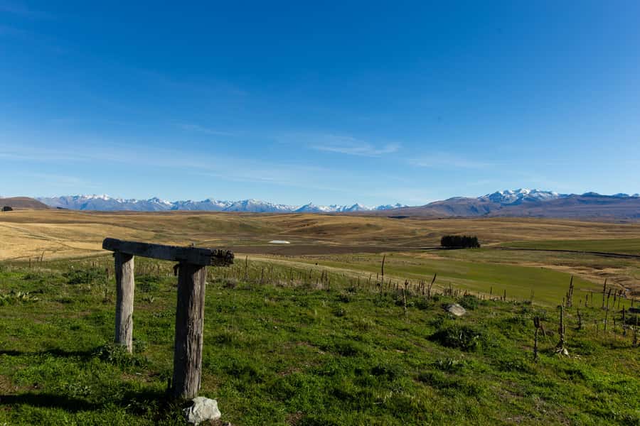 Lake Tekapo High Country Farm Tour (Carbon Positive) - Swan Tarn and the endangered black stilt