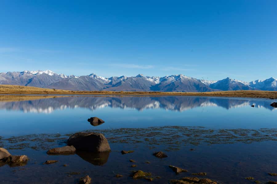 Lake Tekapo High Country Farm Tour (Carbon Positive) - The private Mt. John lookout finale
