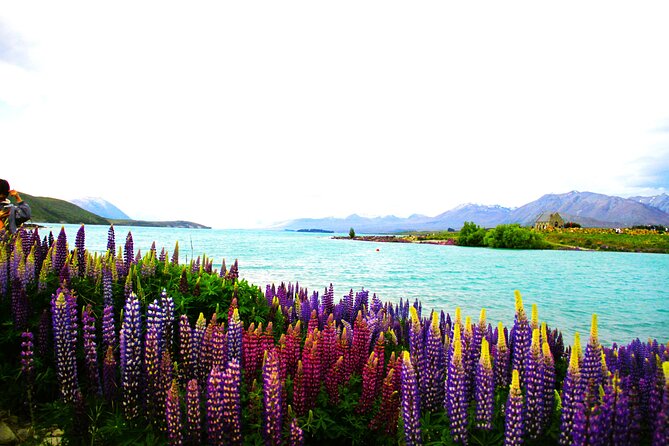Lake Tekapo Stargazing & Mount Cook 2-Day Tour from Christchurch - Burkes Pass and Fairlie’s food stops