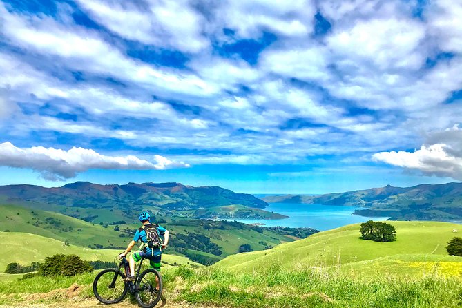 Lava Loop- Guided electric mountain bike tour in Akaroa - Key points to know before you ride