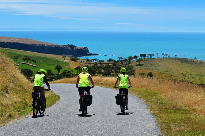 Lava Loop- Guided electric mountain bike tour in Akaroa - The descent and return to Akaroa