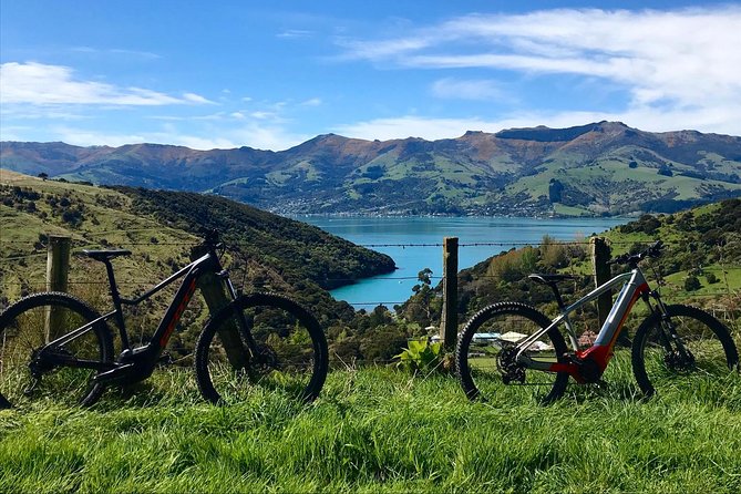 Lava Loop- Guided electric mountain bike tour in Akaroa - Who should book the Lava Loop?