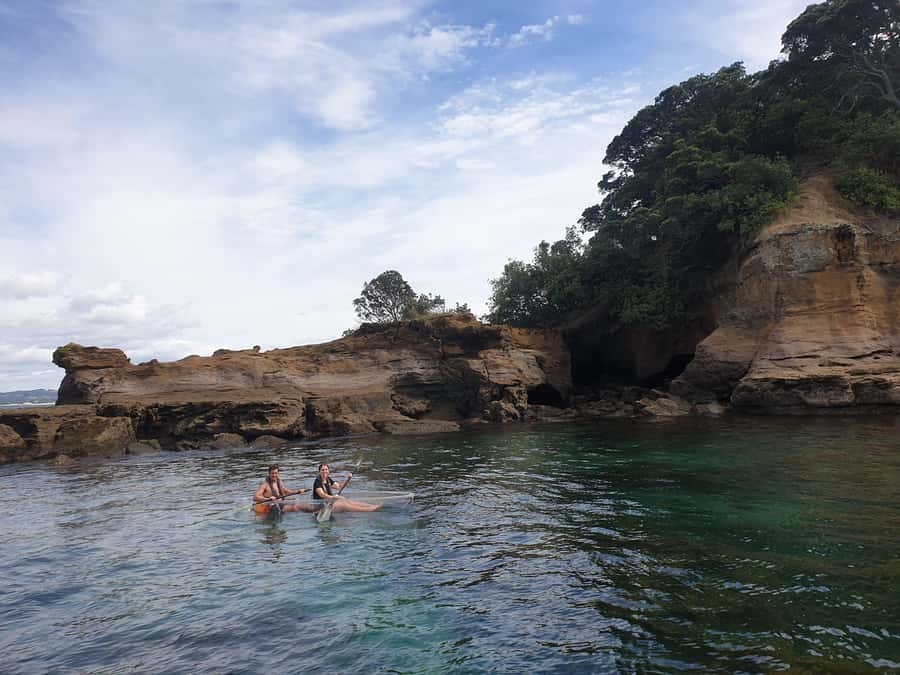 Leigh: Goat Island Clear Kayak Rental - The View Above the Water Matters Too
