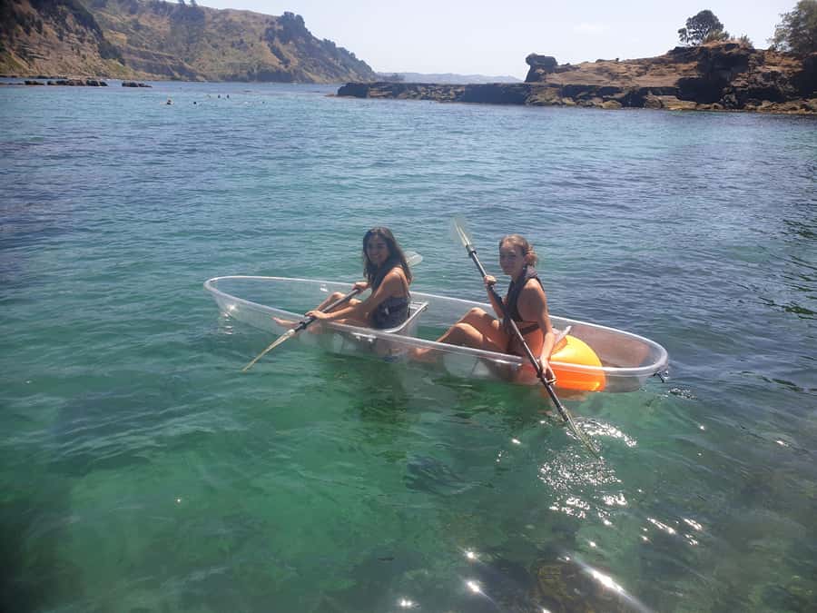 Leigh: Goat Island Clear Kayak Rental - Booking Flexibility and Practical Details