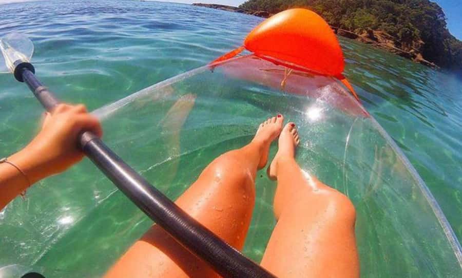 Leigh: Goat Island Clear Kayak Rental - Paddling Into the Marine Reserve