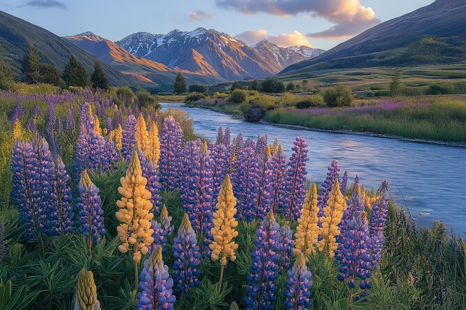 Lord of the Rings Scenic Half Day Tour from Queenstown - Isengard Lookout delivers the film fan’s big moment