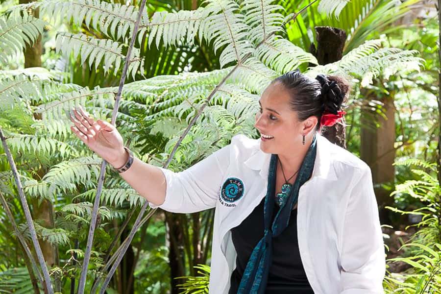 Luxury Auckland Maori Tour - Key points to know before booking