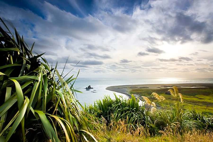 Luxury Auckland Maori Tour - Food, comfort and the long day