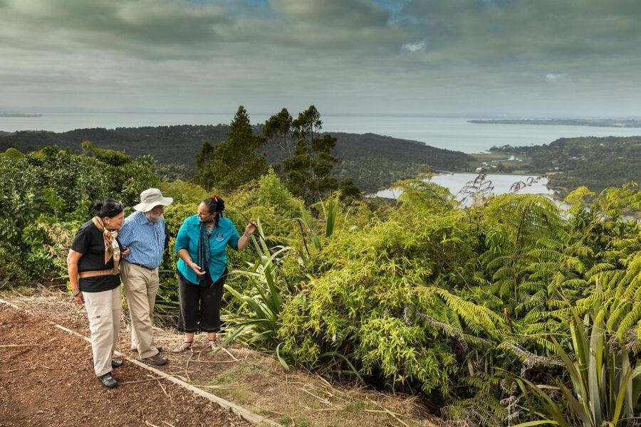 Luxury Auckland Maori Tour - Crossing the Harbour Bridge toward Rangitoto