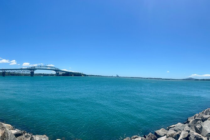 Luxury Auckland Private Tour in Modern Black Mercedes Tourer - Tamaki Drive to Mission Bay