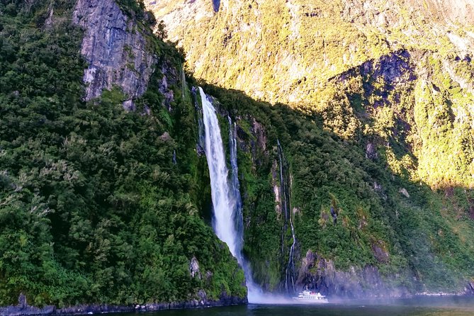 Luxury Milford Sound Coach and Scenic Cruise - Key points before you book
