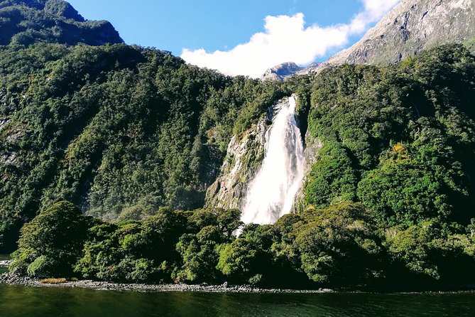 Luxury Milford Sound Coach and Scenic Cruise - Mirror Lakes offers a short walk, not a full hike