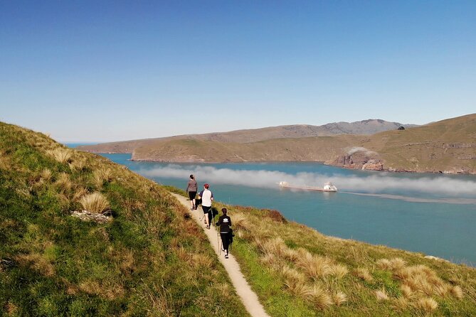Luxury Private Guided Crater Rim Walk on Banks Peninsula - Why this Banks Peninsula outing works so well