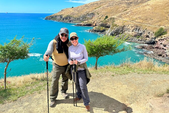Luxury Private Guided Crater Rim Walk on Banks Peninsula - Three hours around Godley Head
