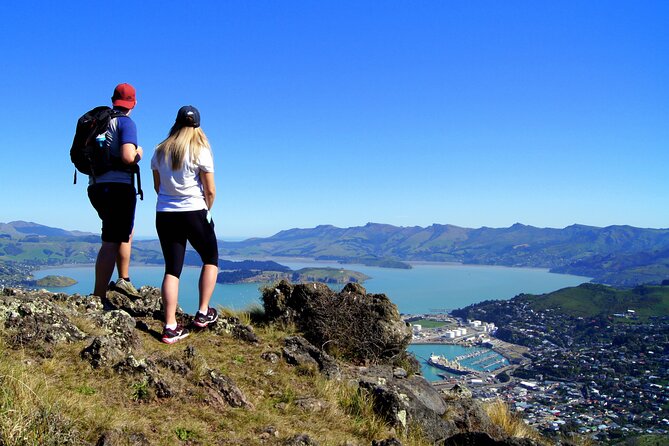 Luxury Private Guided Crater Rim Walk on Banks Peninsula - Who should book this experience?