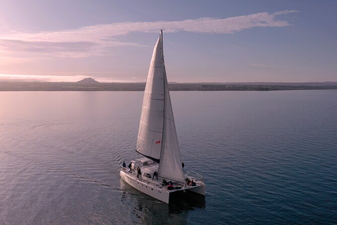 Luxury Sailing - Māori Rock Carvings - Taupo Sailing Adventures - Meeting the Māori rock carvings from the water
