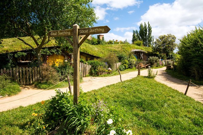 Luxury Small group tour from Auckland to Hobbiton Movie Set - Key points to know before booking