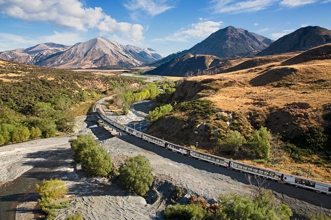 Lyttelton Cruise Excursions: Christchurch Sightseeing with Sheep Farm - Riverside Market for a short lunch break