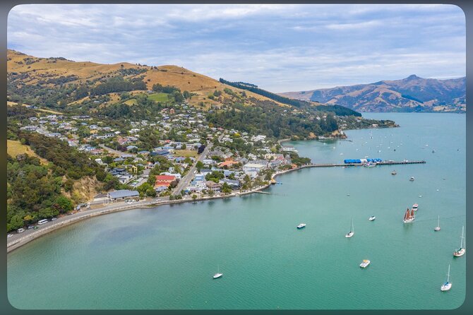 Lyttelton Cruise Excursions: Christchurch Sightseeing with Sheep Farm - Sheep dogs, shearing, and the work behind wool