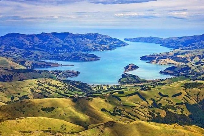 Lyttelton Cruise Excursions: Christchurch Sightseeing with Sheep Farm - Tea, home baking, and a taste of farm hospitality