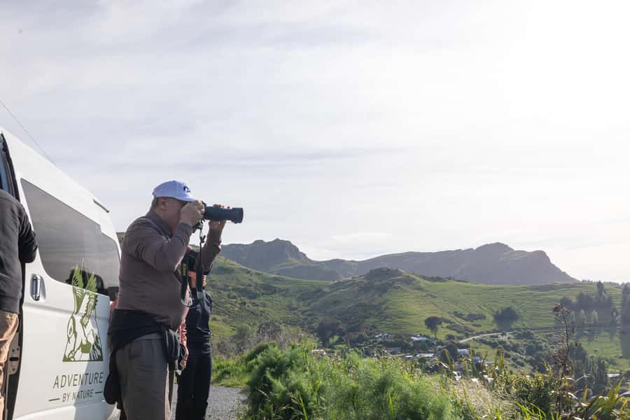 Lyttelton: Shore Excursion, Castle Hill & Inland Canterbury - How much commentary should you expect?