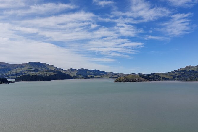 Lyttelton Shore Excursion: Christchurch Sightseeing with Antarctic Center - Guides shape the mood of the day