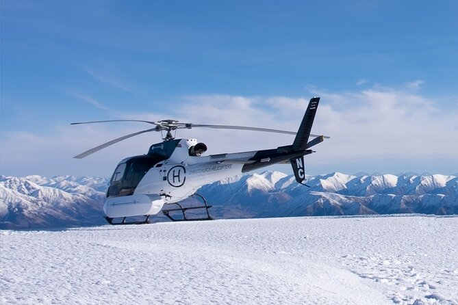 Lyttelton Shore Excursion: Christchurch Sightseeing with Antarctic Center - Timing, transport, and cruise-day risks