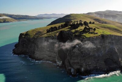 Lyttelton Shore Excursion – Guided Walking Tour and Picnic