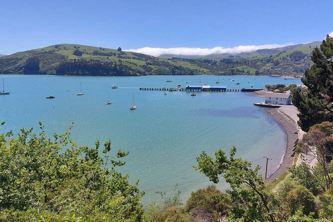 Lyttelton Shore Excursion: Twin Harbour Tour (Lyttelton & Akaroa) - The scenery beyond the boat