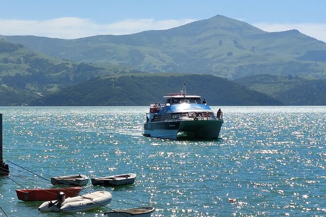 Lyttelton Shore Excursion: Twin Harbour Tour (Lyttelton & Akaroa) - Cheese, local produce, and the lunch choice