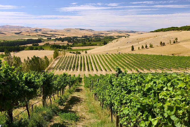 Lyttelton Shore Excursion: Waipara Valley Wine Tour with Lunch - A second family-run cellar door