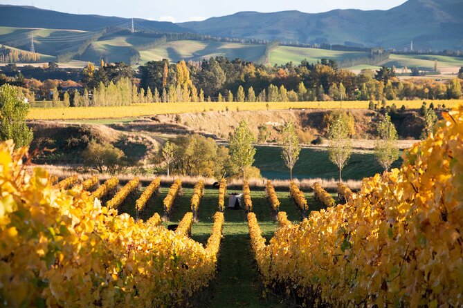 Lyttelton Shore Excursion: Waipara Valley Wine Tour with Lunch - Is $198.58 a fair price?