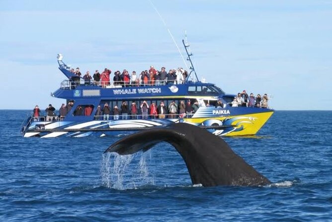 Lyttleton Port Excursion Day Tour 3 options for Cruise travelers - Christchurch city sights and the Botanic Gardens