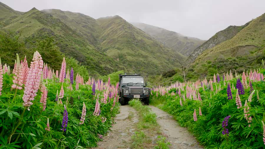 Macetown: Gold Heritage 4WD Full Day Tour from Queenstown - The 4WD ride and its 25 river crossings
