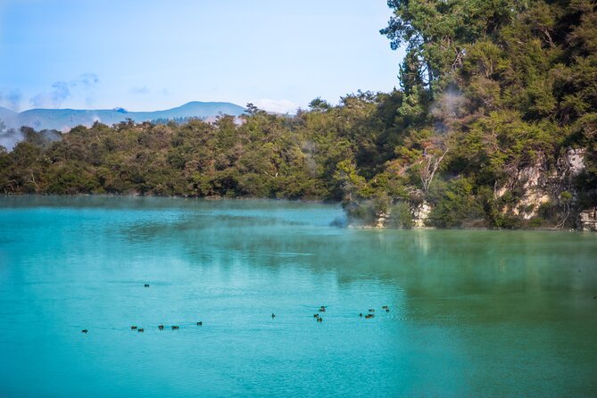 Magical Wanderer Experience Private Tour to Te Puia & Wai-O-Tapu - Is $713.04 per person good value?
