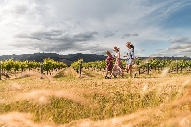 Marlborough Afternoon Wine Tour with Tastings - Why this afternoon tour works in Marlborough