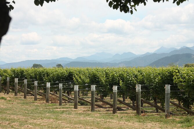 Marlborough Classic Wine Tasting Tour. - Sherri, the local guide, is a major part of the experience