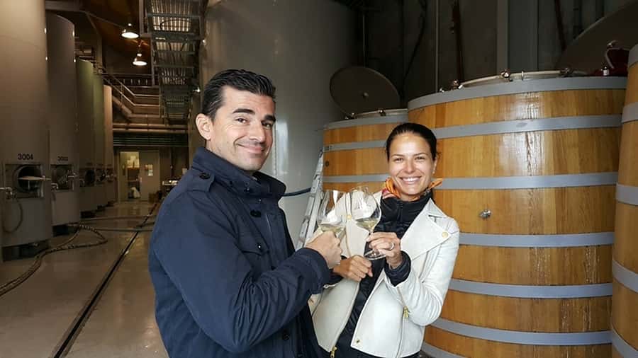Marlborough: Full-Day Private Driving Wine Tour - Your guide can shape the feel of the day