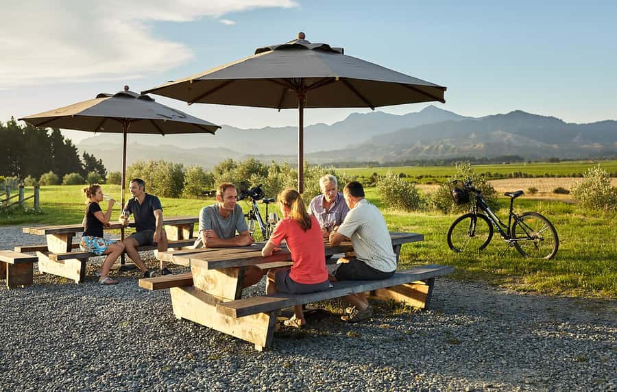 Marlborough: Full-Day Self-Guided Biking Wine Tour - Key points before you book