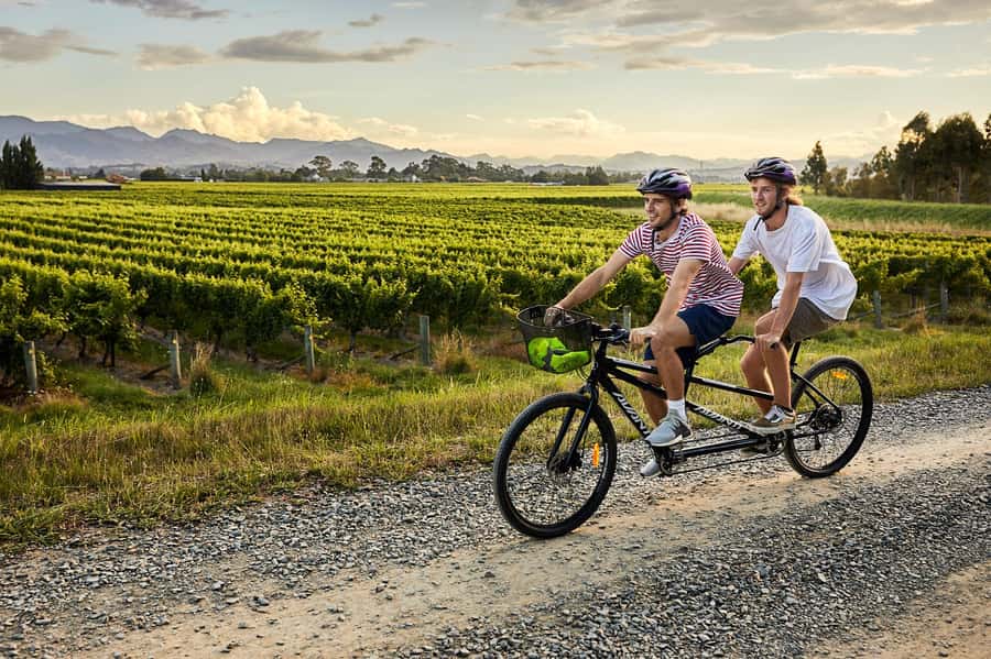 Marlborough: Full-Day Self-Guided Biking Wine Tour - Building your own winery route