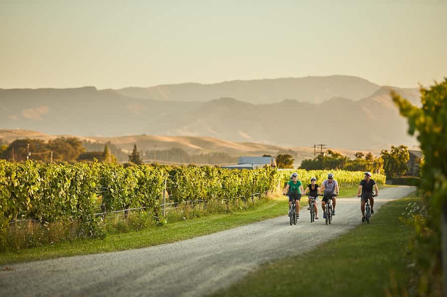Marlborough: Full-Day Self-Guided Biking Wine Tour - Starting at Vines Village