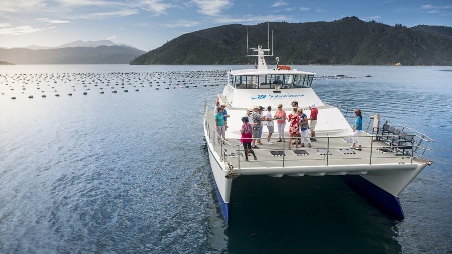 Marlborough: Full-Day Wine and Seafood Tour with Cruise - Lunch before the boat, with one detail to clarify