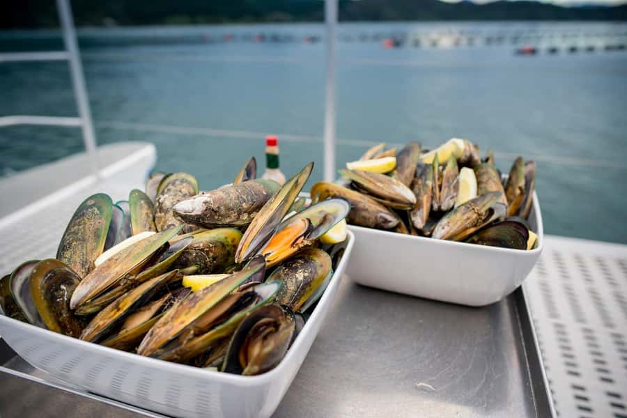 Marlborough: Full-Day Wine and Seafood Tour with Cruise - First tasting, about 45 minutes among the vines