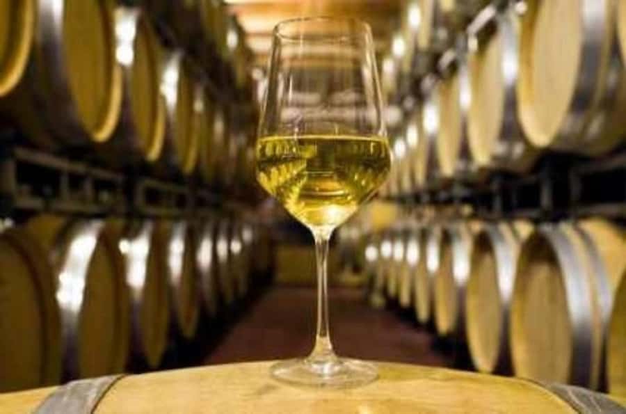 Marlborough Full Day Wine Tour - The possible Makana chocolate finale