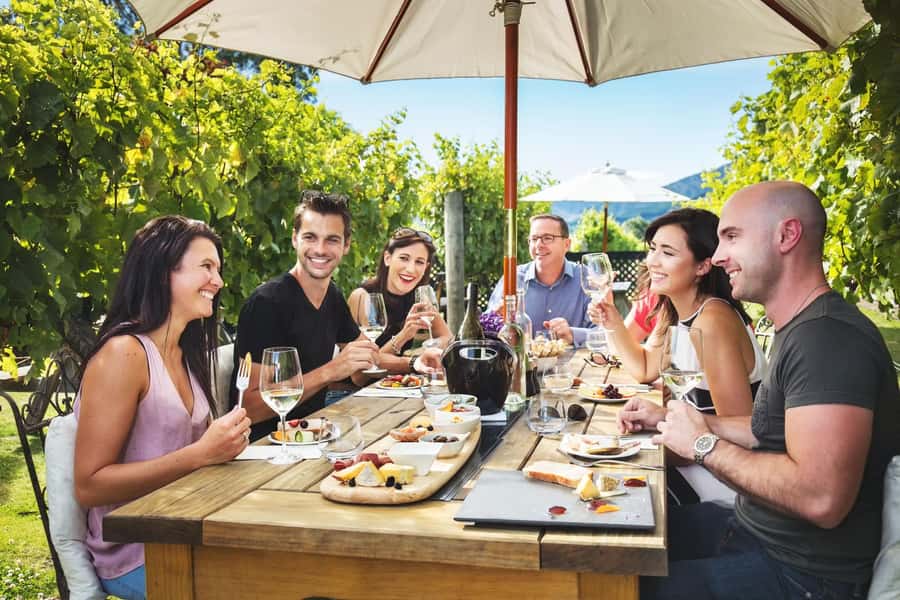 Marlborough: Full Day "Winemaker's Tour" - Key points to know before booking