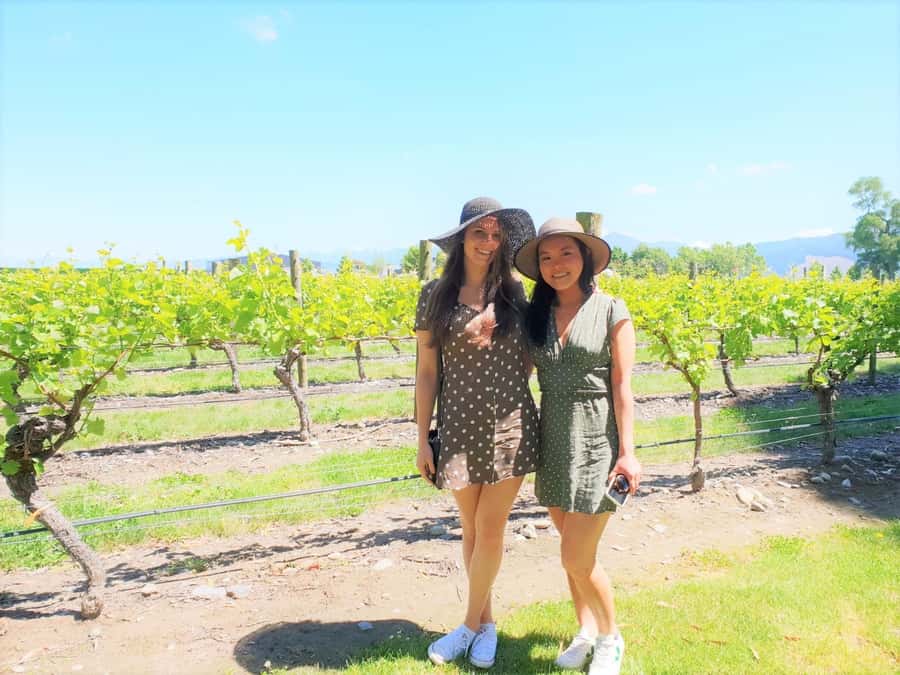 Marlborough: Full Day "Winemaker's Tour" - Why this tour works well in Marlborough
