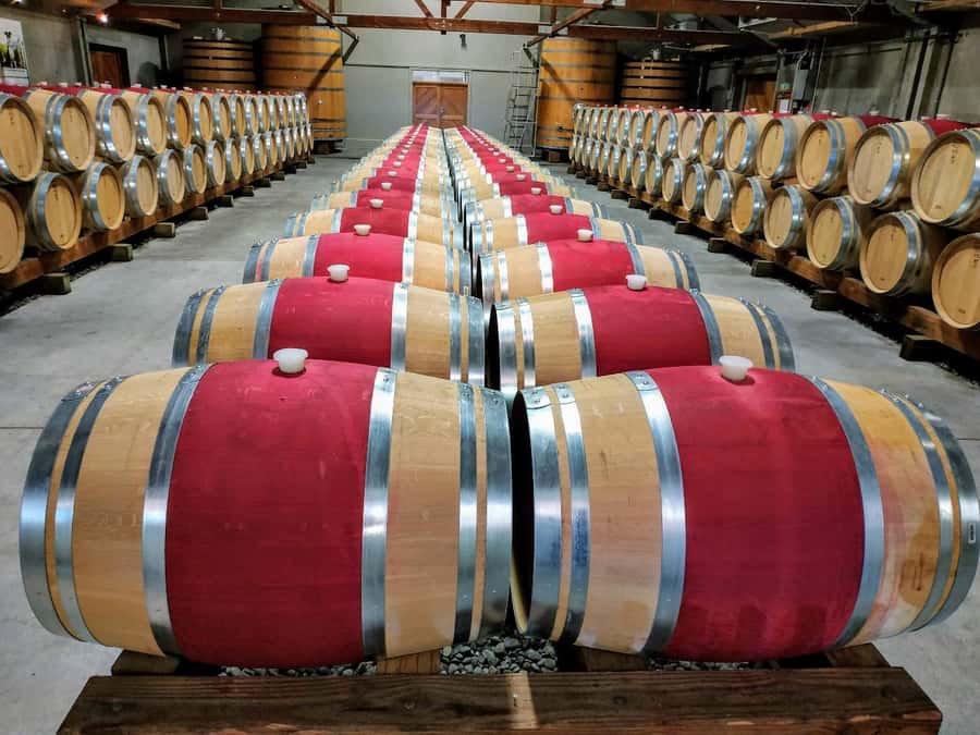 Marlborough: Half Day Blenheim Wine Tour - Eating & Sipping - Why this half-day tour works in Marlborough