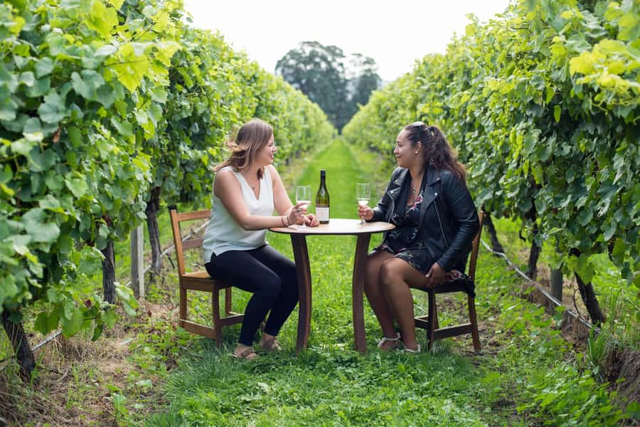 Marlborough Half Day Wine Tour From Blenheim 1.30pm - What You Learn Along the Way