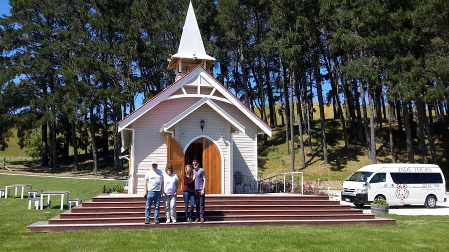 Marlborough Half-Day Wine Tour from Blenheim - What you learn in the vineyard