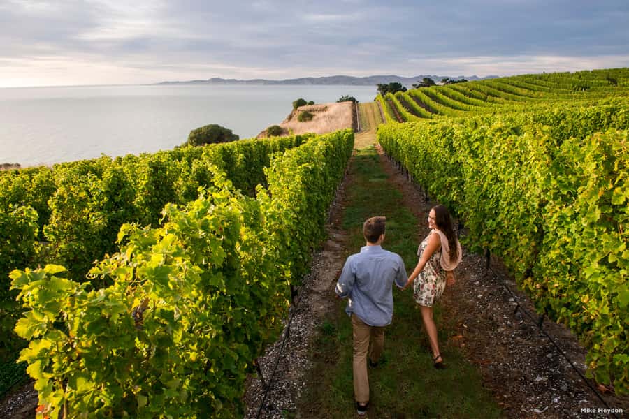 Marlborough Half-Day Wine Tour from Blenheim - Guides, vehicles, and the feel of the day